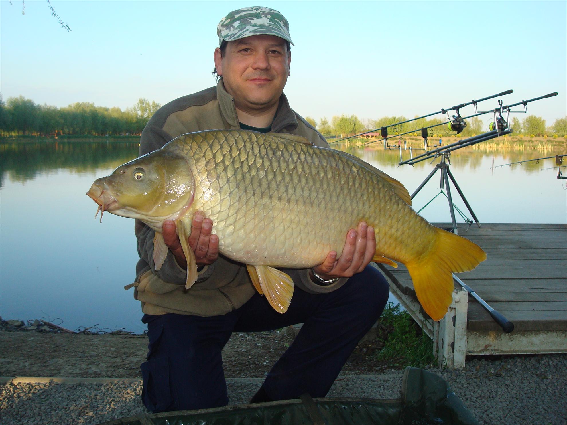 pescuit pe o balta superba - dsc07502.JPG